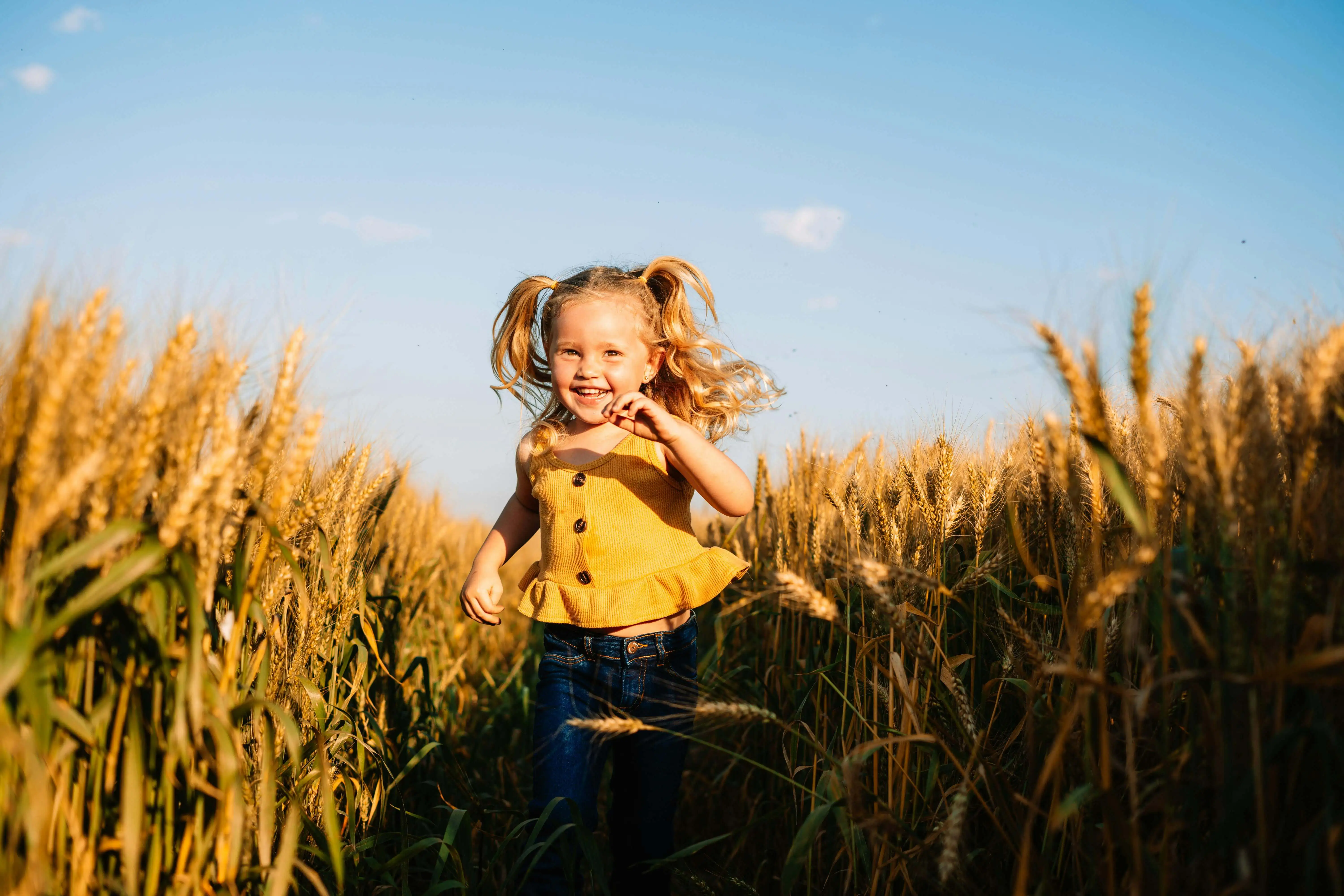 Veri ve Yapay Zekâ Tabanlı Hizmetler