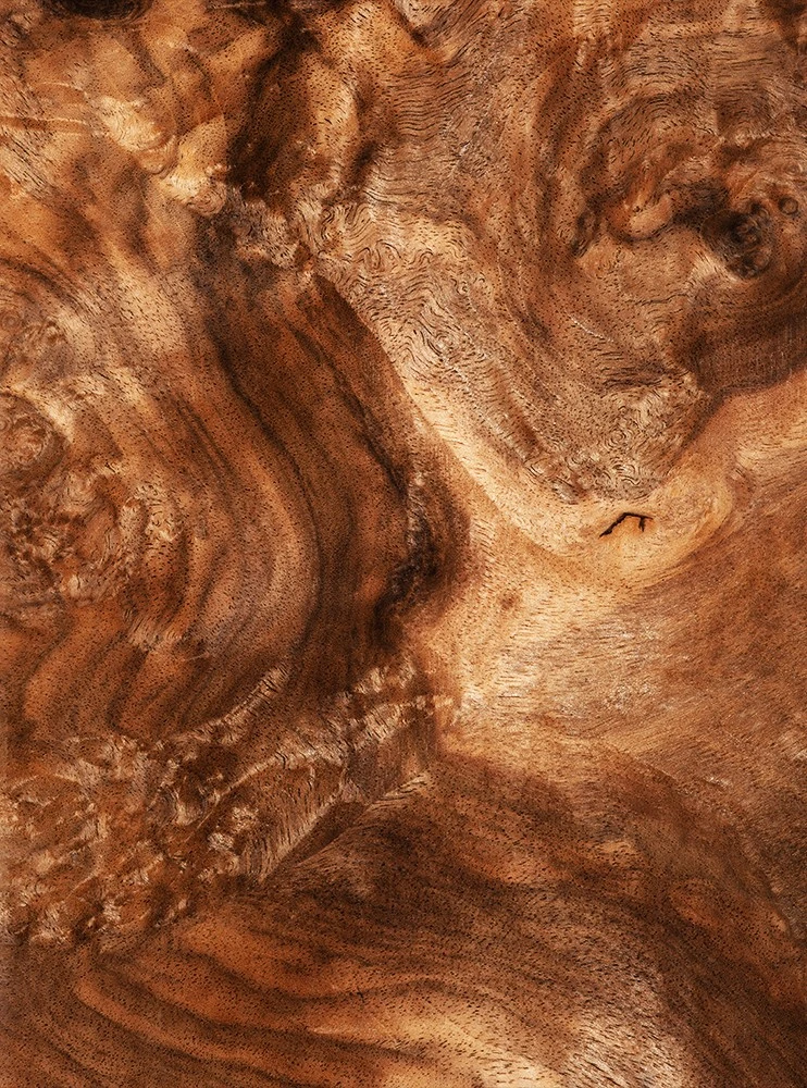 Ham Kök Ceviz malzemesi